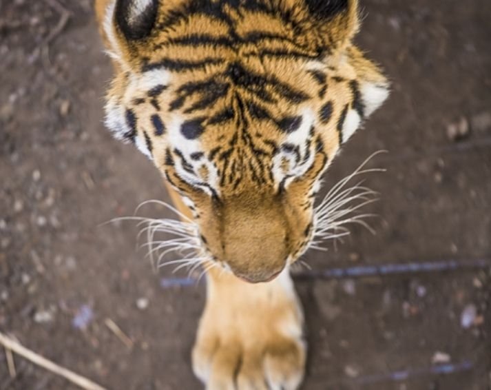 Тематическое фото ИА PrimaMedia