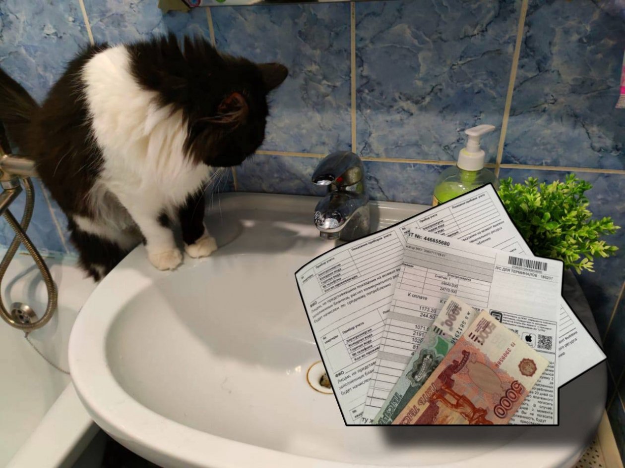 Тематическое фото Коллаж ИА StolicaMedia