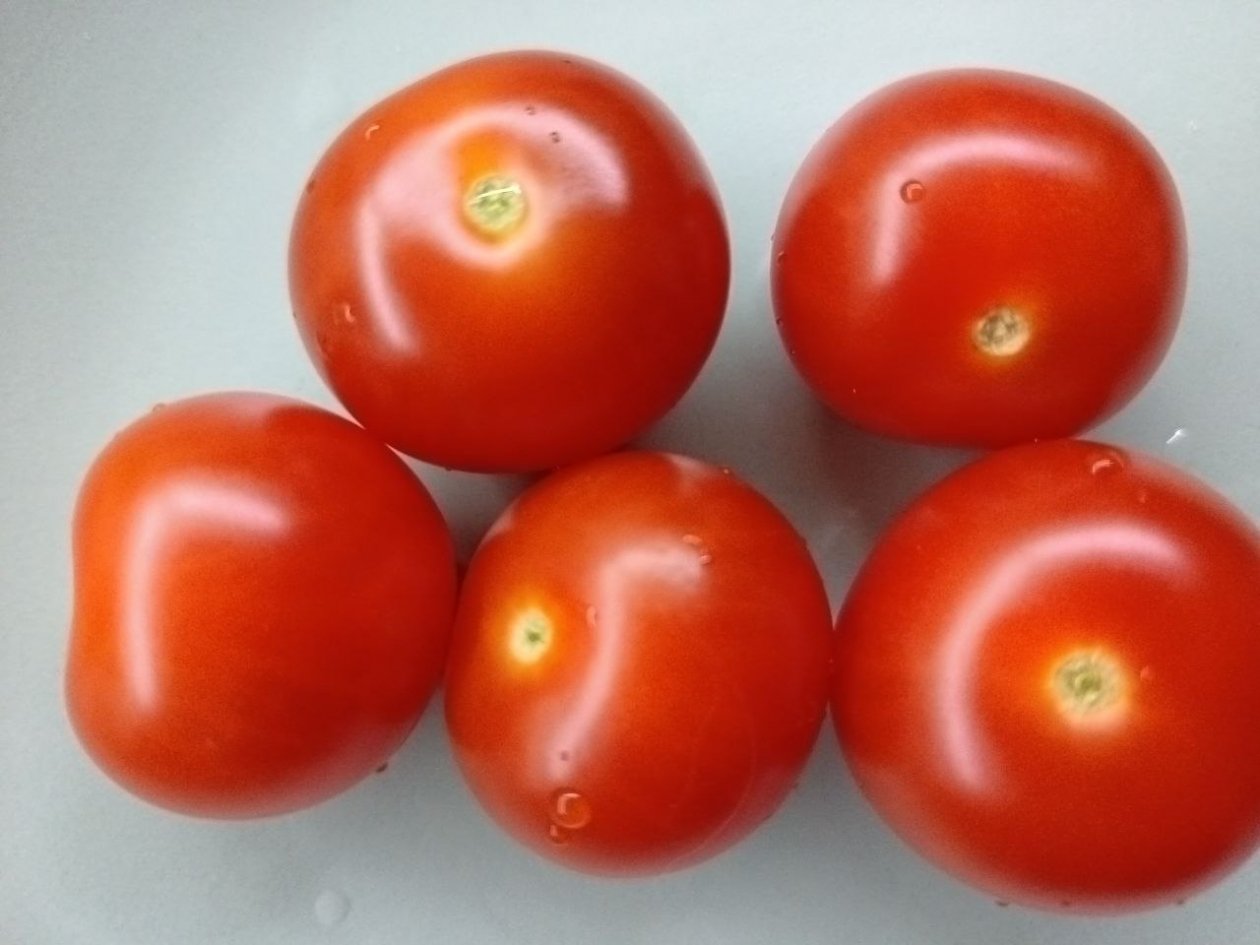 Эти малыши выдают плоды, как из пулемета: по полсотни штук в кисти - слаще конфет, краше цветов ИА KrasnodarMedia