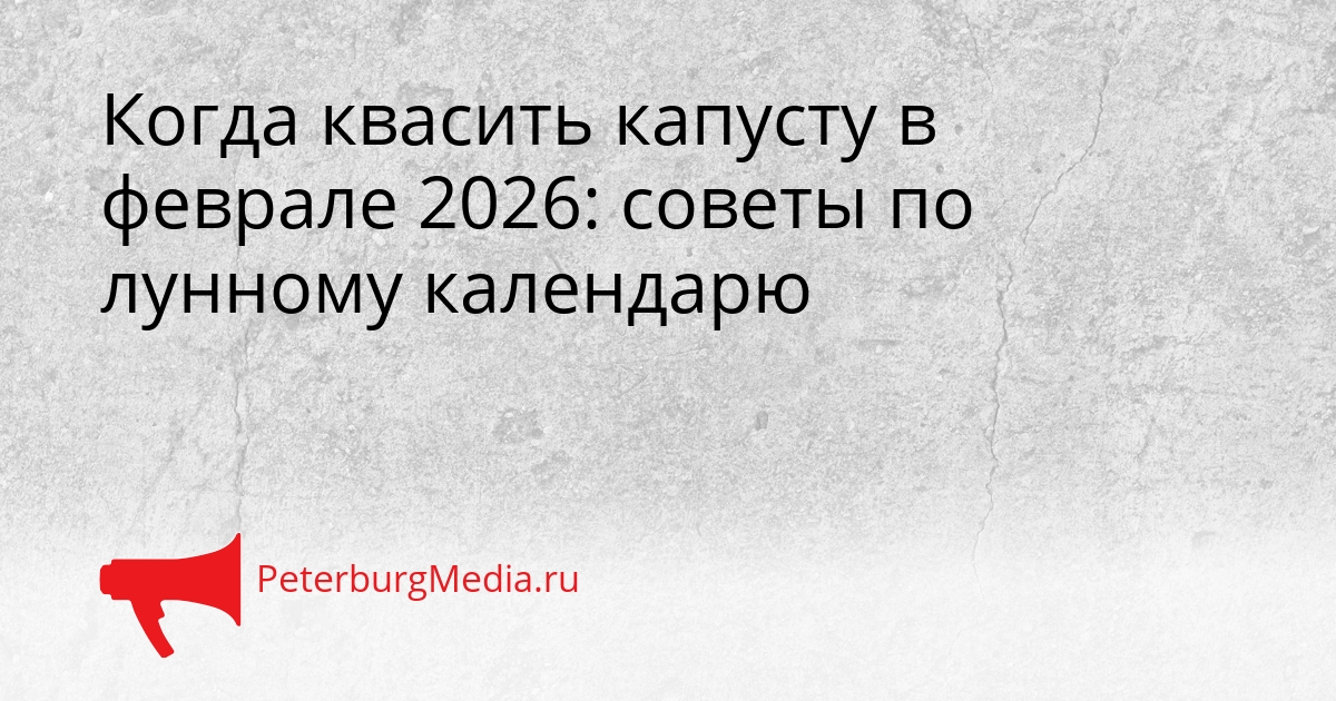 Когда квасить капусту в феврале 2026: советы по лунному календарю Сгенерировано