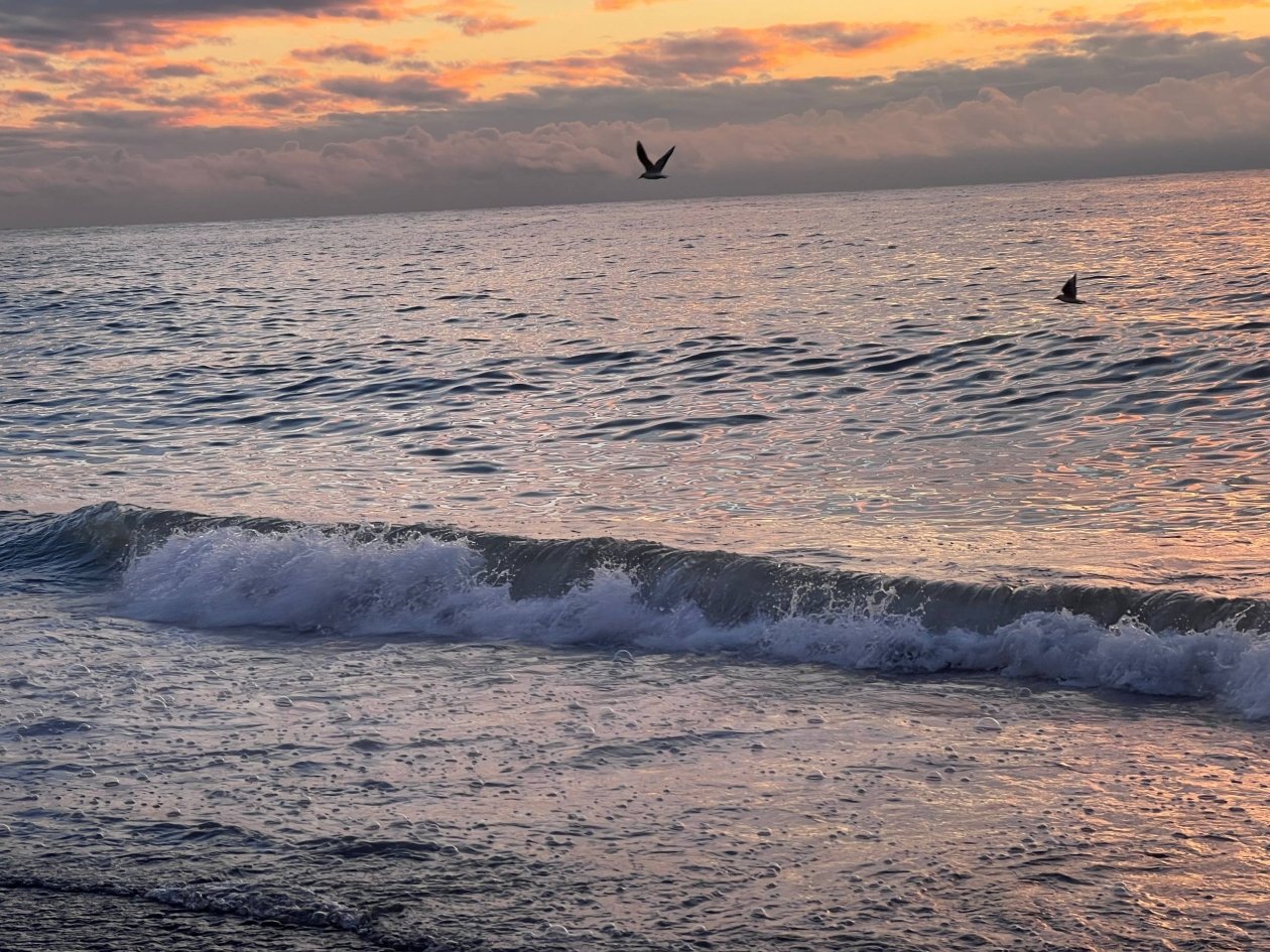 Названы три кандидата на пост мэра Анапы ИА KrasnodarMedia