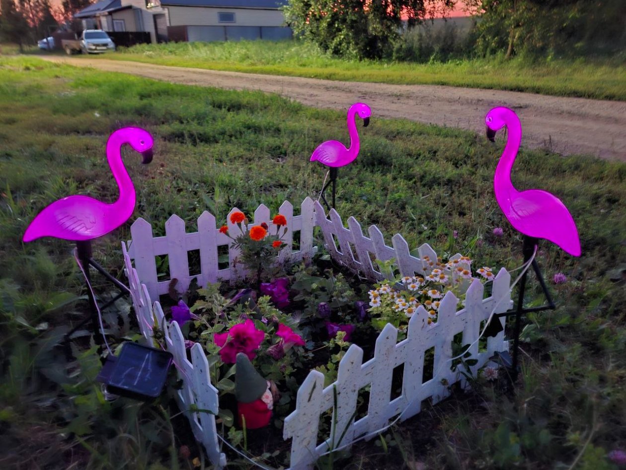 Посадила это растение там, где всё умирало - и получила глянцевый, сочный, вечнозеленый сад ИА SochiMedia.ru