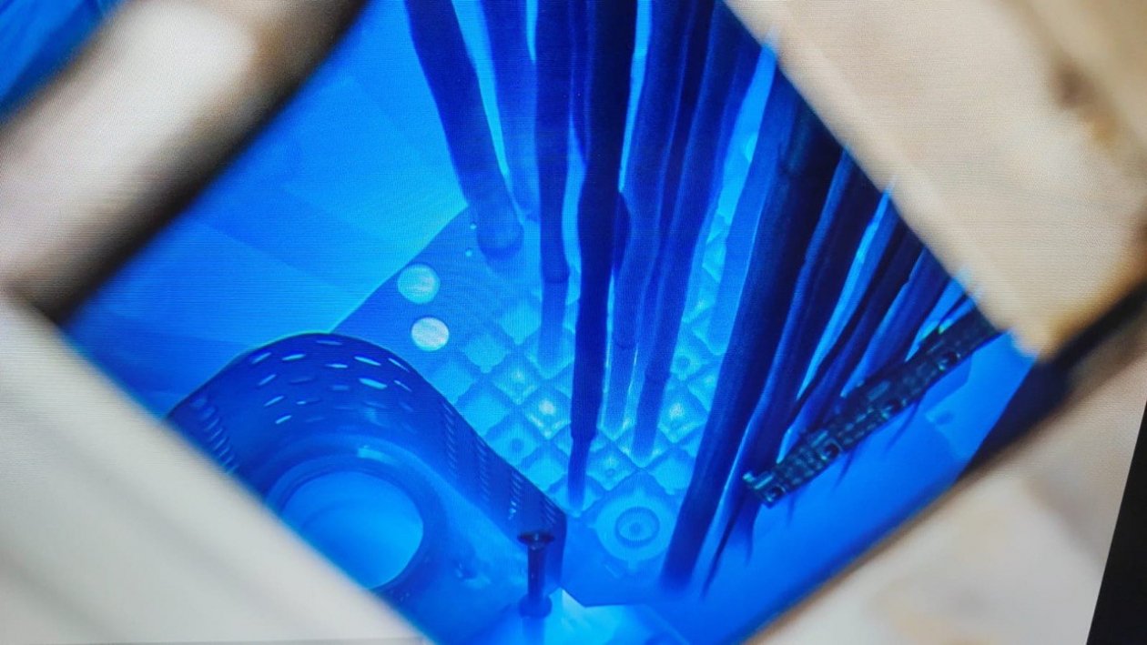 пресс-служба ДВФУ