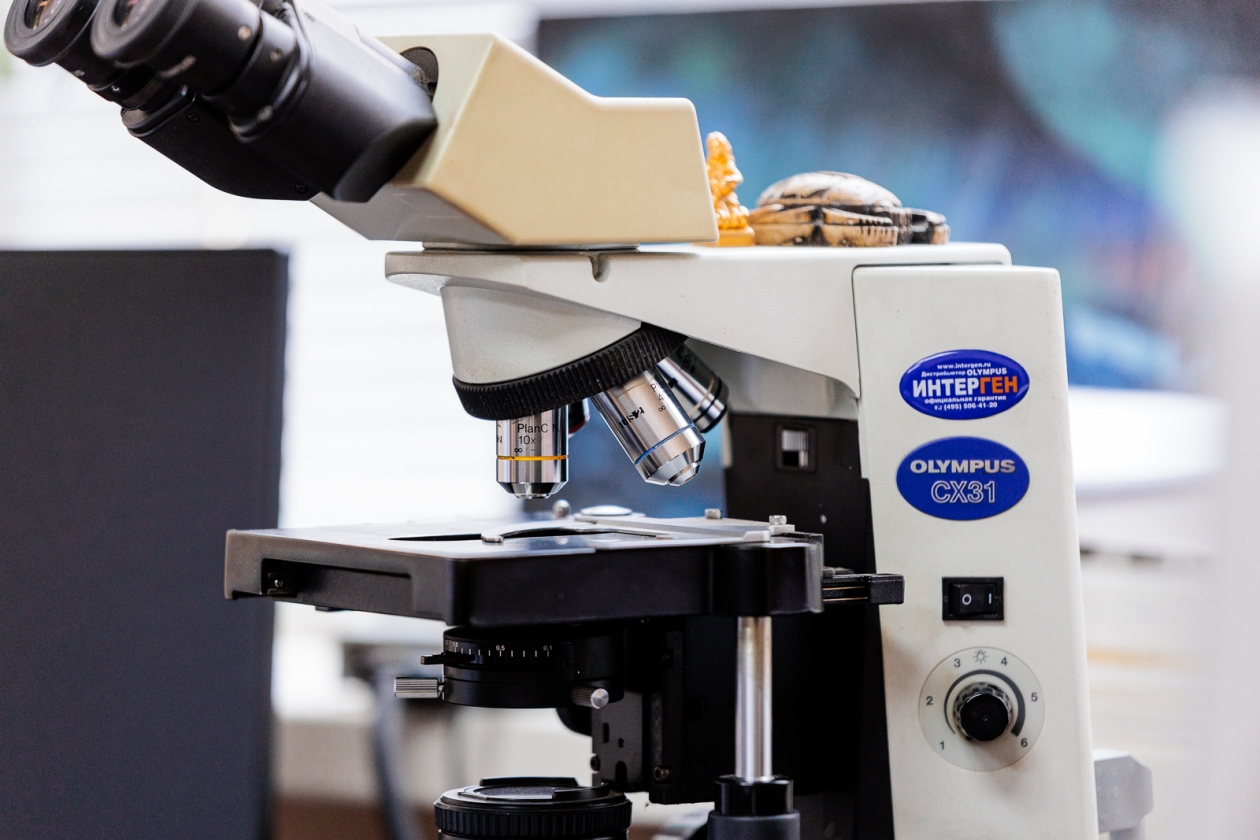 Тематическая фотография Евгений Кулешов, ИА PrimaMedia