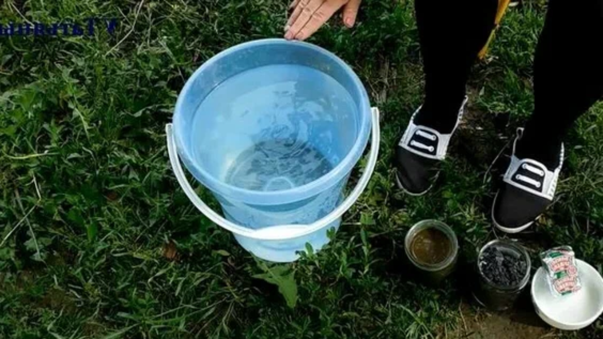 Тематическое фото Автор блога &quotНа даче у деда Егора&quot