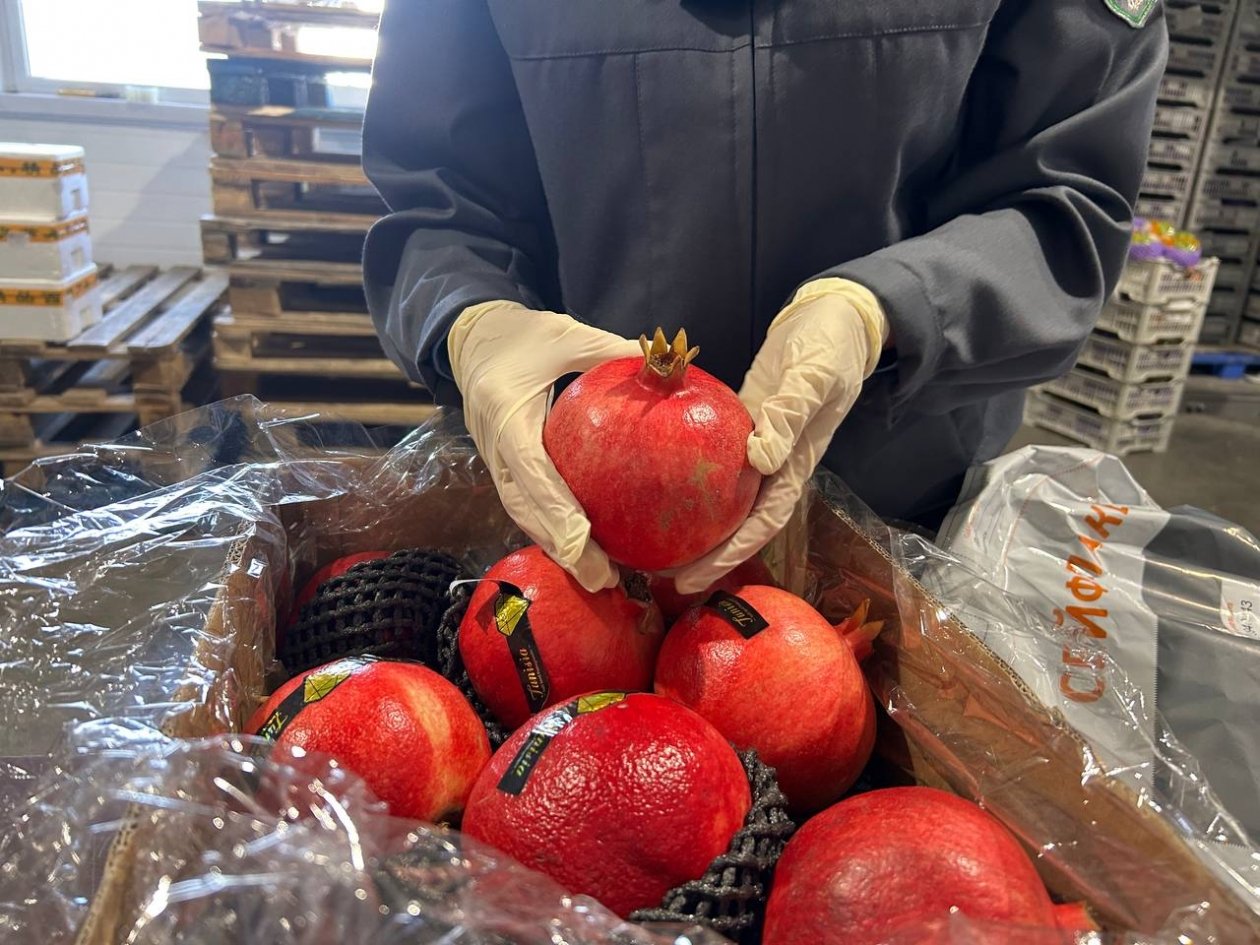 . пресс-служба управления Россельхознадзора по Красноярскому краю