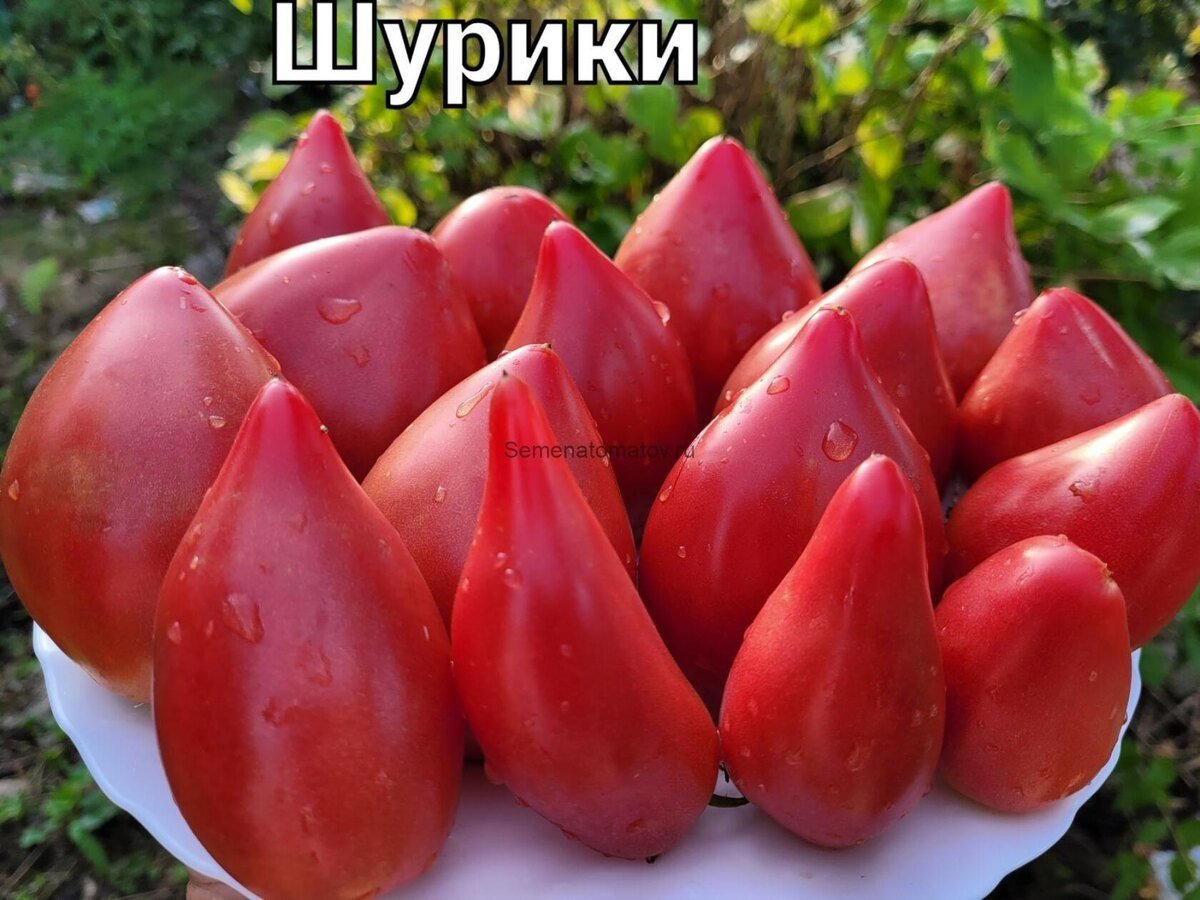 Блог