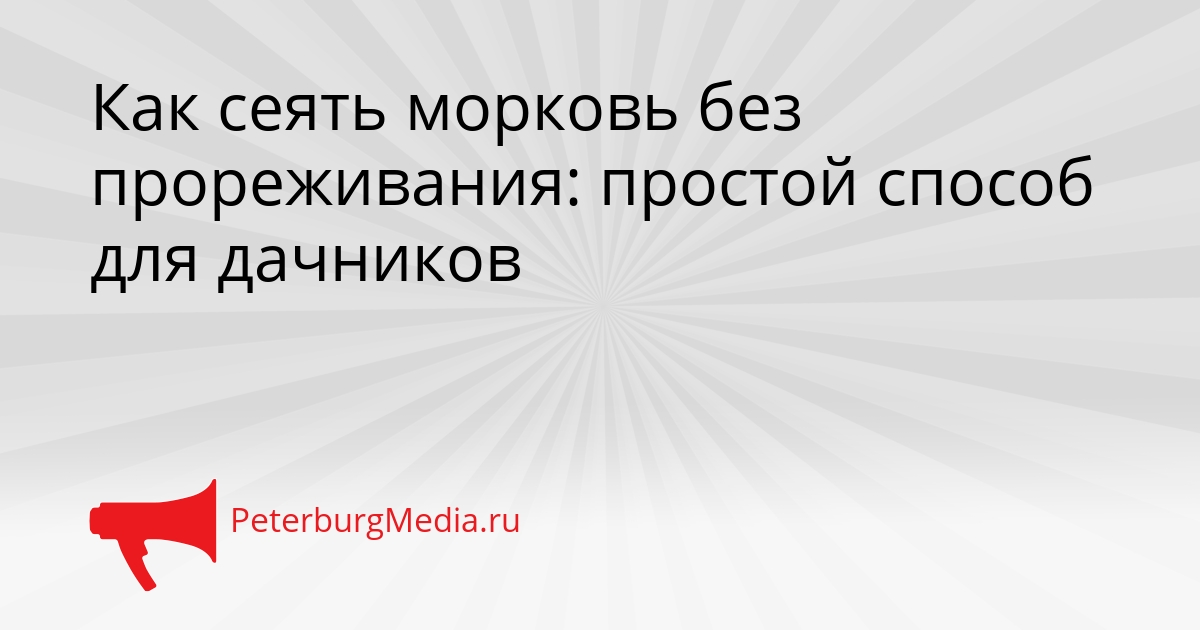 Как сеять морковь без прореживания: простой способ для дачников Сгенерировано