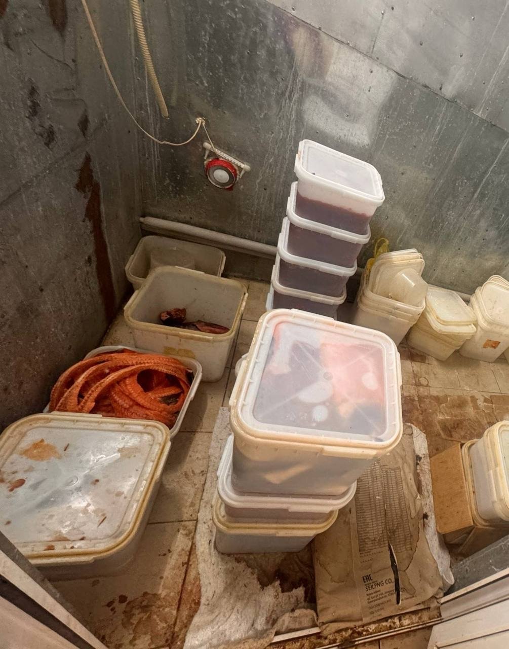 Сотрудники УФСБ нагрянули после скрытых проверок специалистов Россельхознадзора ТУ Россельхознадзора по Амурской области и Республике Саха (Якутия)