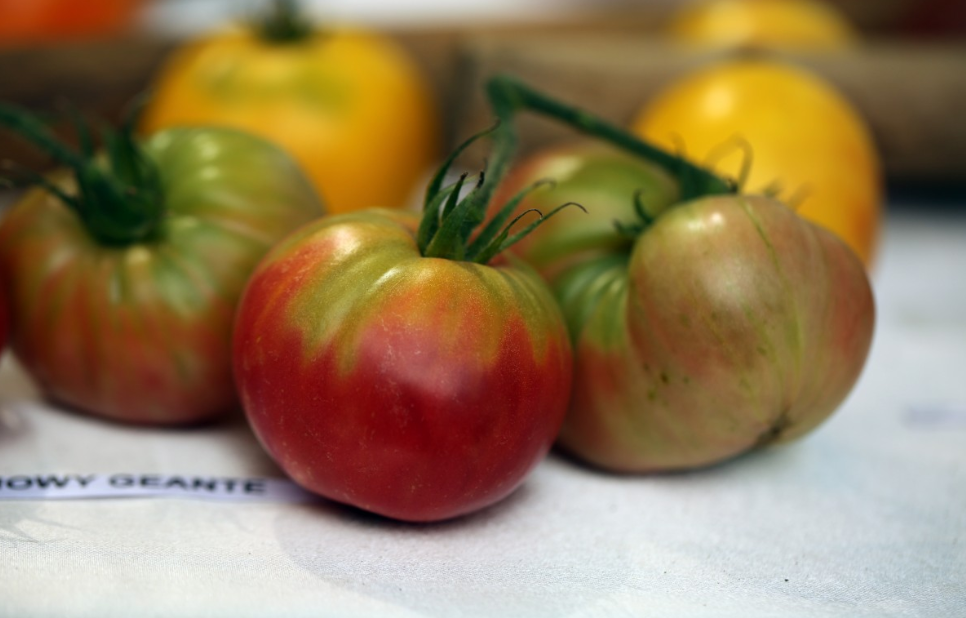 Тематическое фото pxhere.com