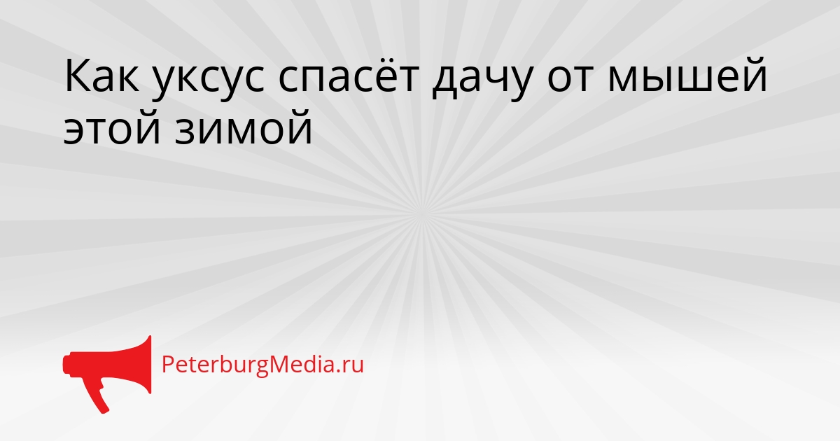 Как уксус спасёт дачу от мышей этой зимой Сгенерировано