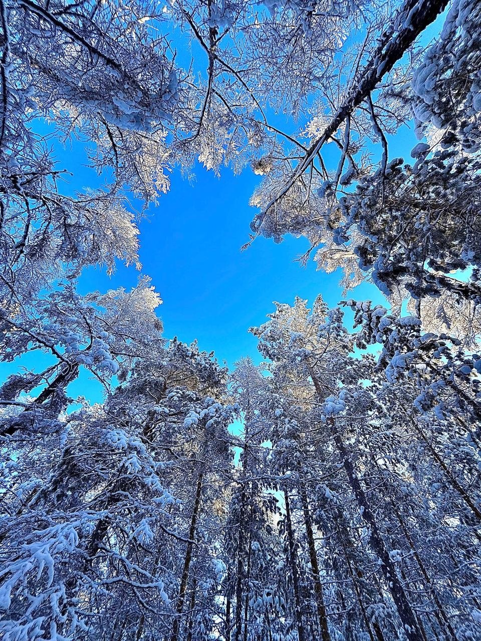 Гороскоп на 28 января: День складывается спокойно, но с внутренним напряжением ИА YakutiaMedia