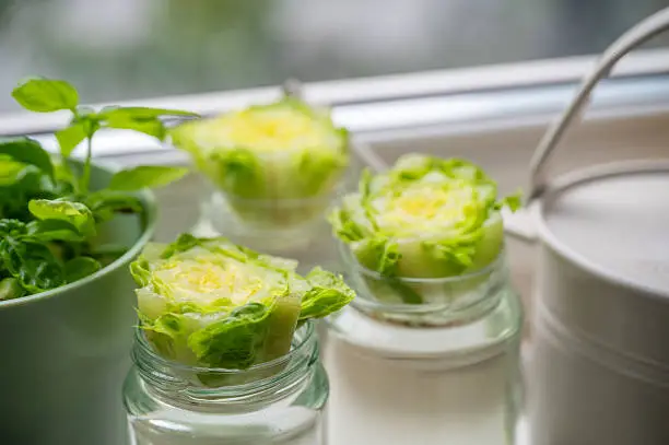 Тематическое фото Unsplash.com