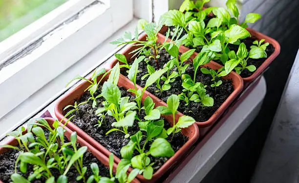 Тематическое фото Unsplash.com