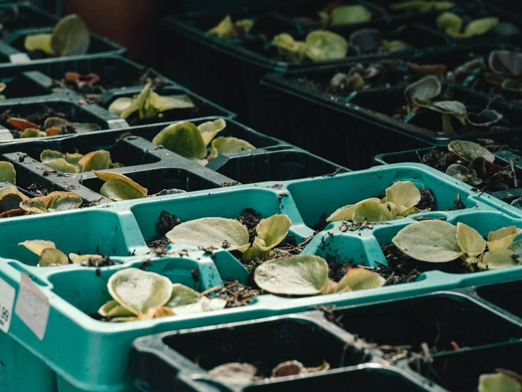 Тематическое фото unsplash.com