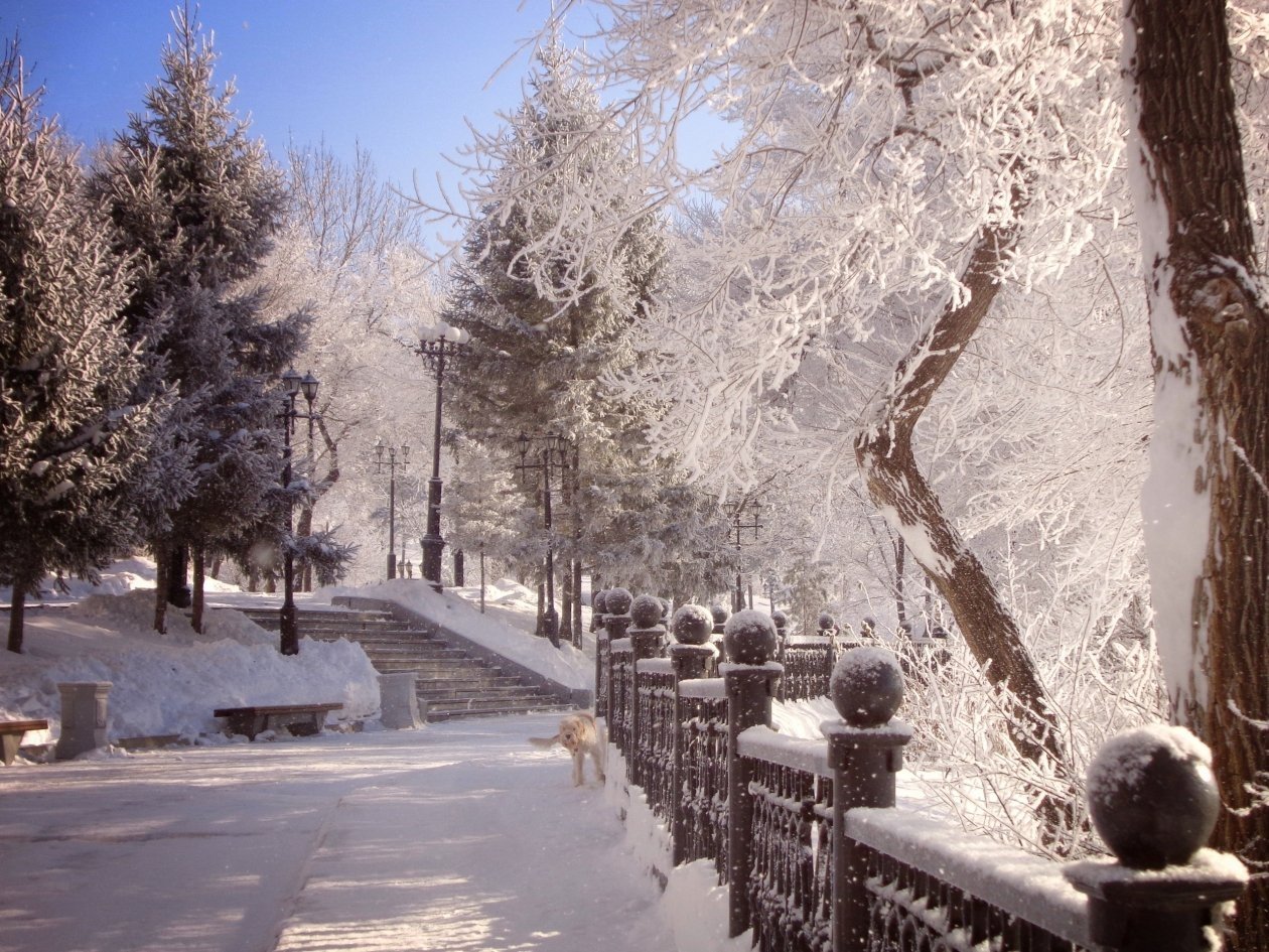 Тематическое фото Константин Байдин, из архива ИА AmurMedia