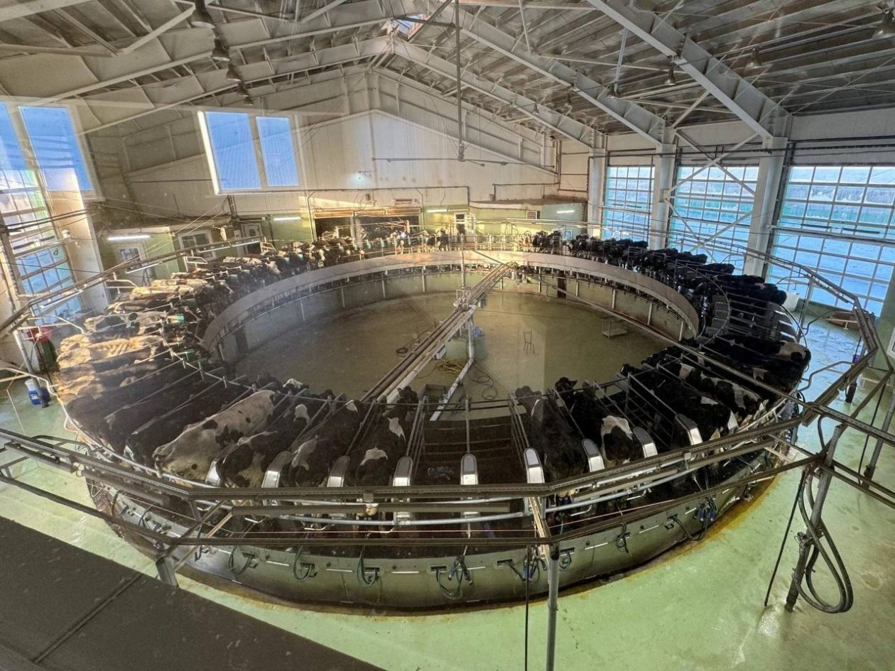 Тематическое фото пресс-служба минсельхоза Сахалинской области