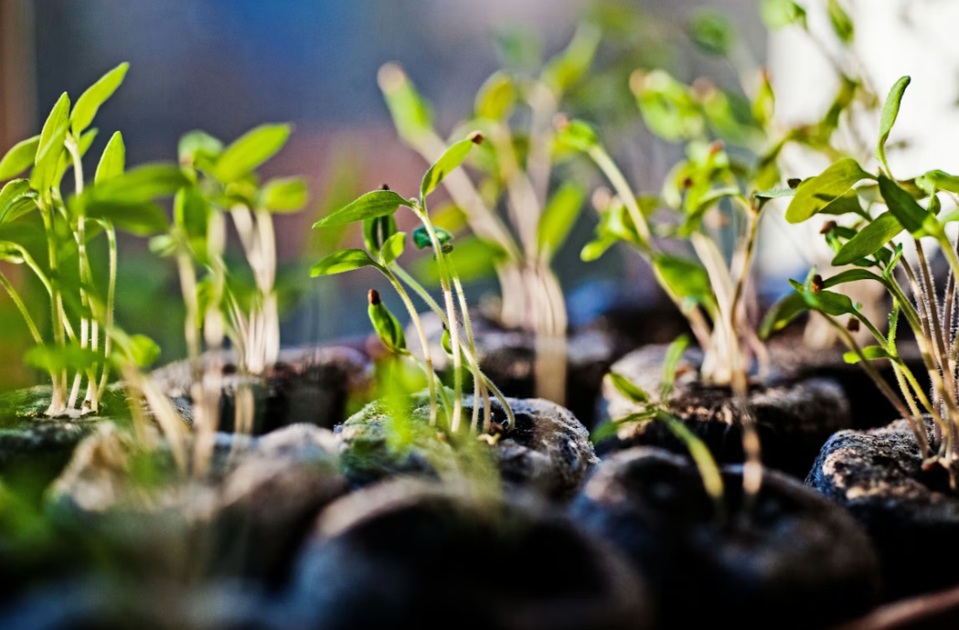 Тематическое фото unsplash.com