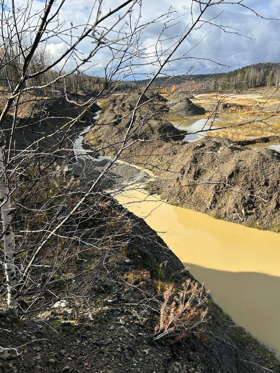 . пресс-служба прокуратуры Красноярского края