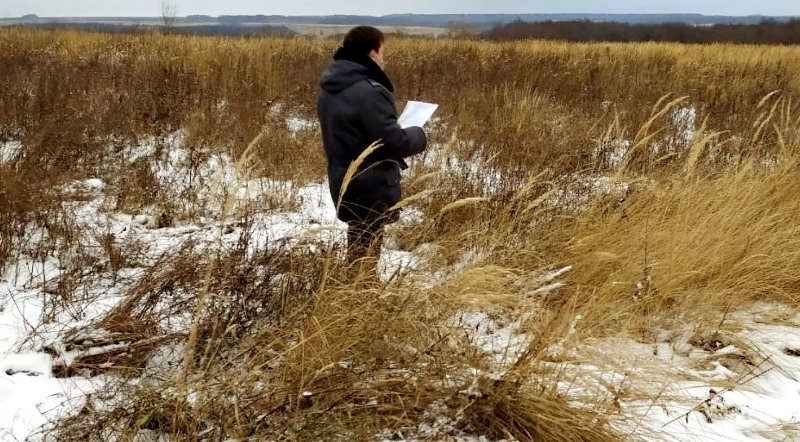 Землевладелец нанес почве ущерб почти на 8 млн рублей в Усть-Илимском районе Управление Россельхознадзора по Иркутской области и Республике Бурятия