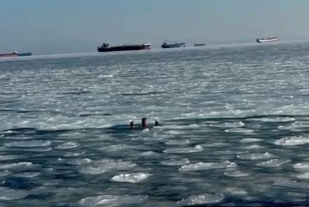 Тематическое фото t.me/nn_vdk