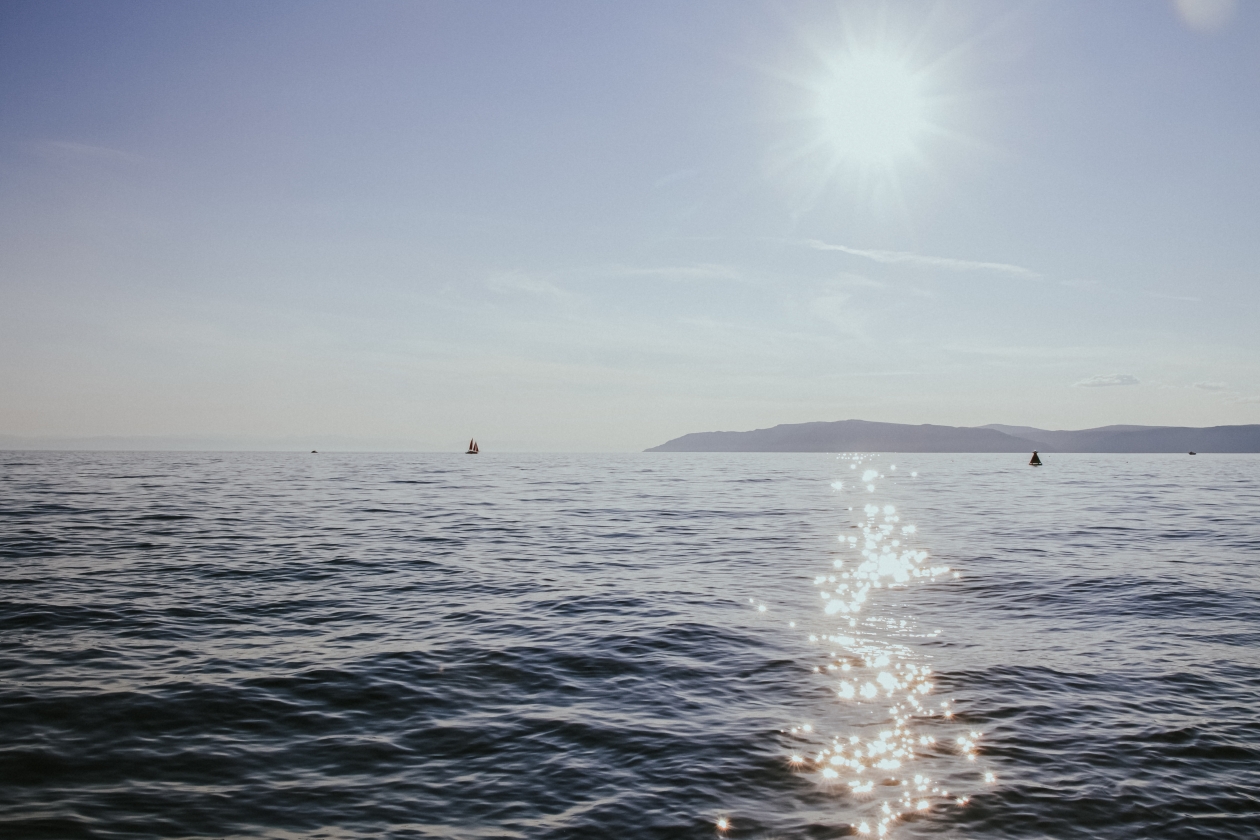 Почти полсотни ДНК-вирусов обнаружили ученые в планктоне на Байкале Юлия Ушакова, ИА IrkutskMedia