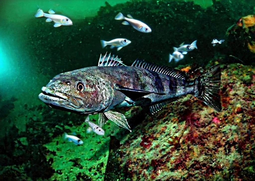 Клыкач GigaChat