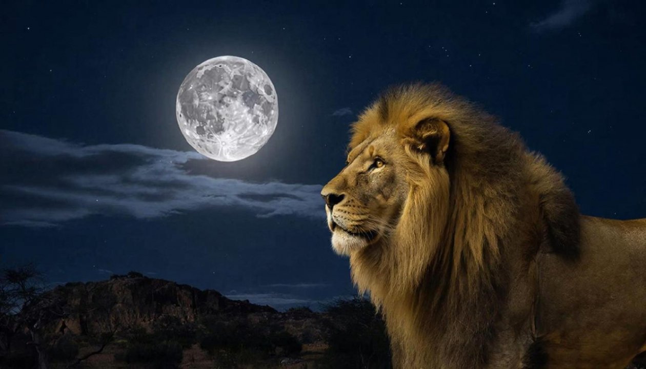 Изображение GigaChat (18+)