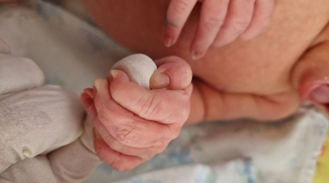 Предоставлено Юлией Лобода