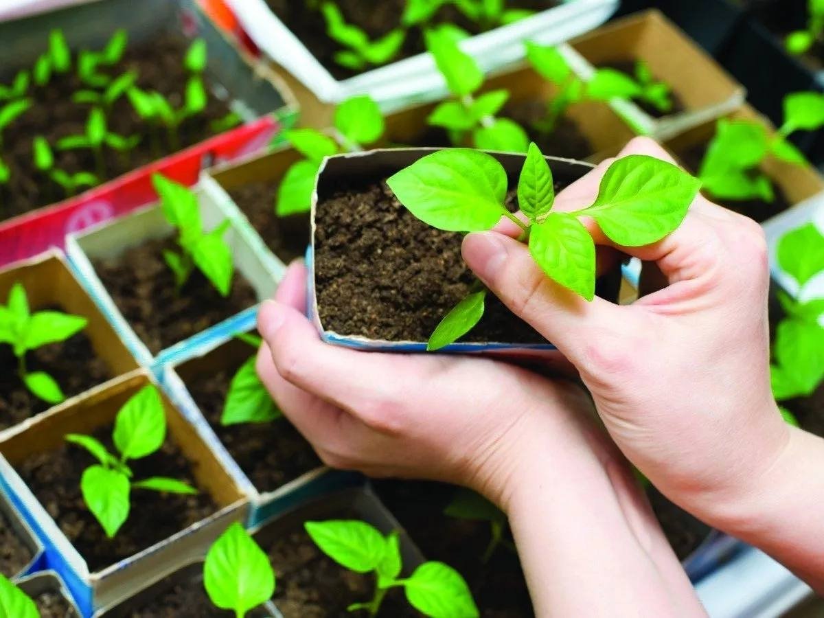 Тематическое фото Автор канала