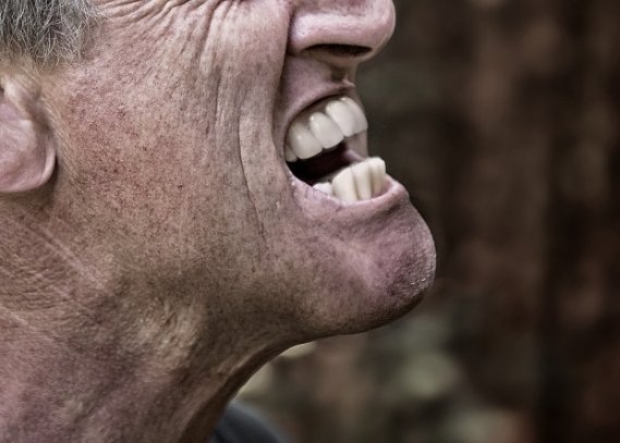 Тематическое фото pxhere.com