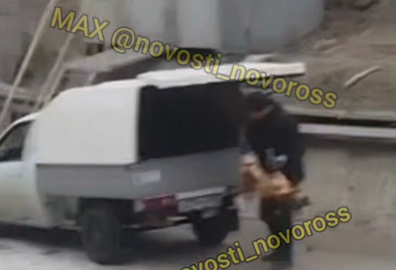 Живодер обстрелял более 30 невинных собак в Новороссийске Скрин (18+) t.me/novosti_novoross