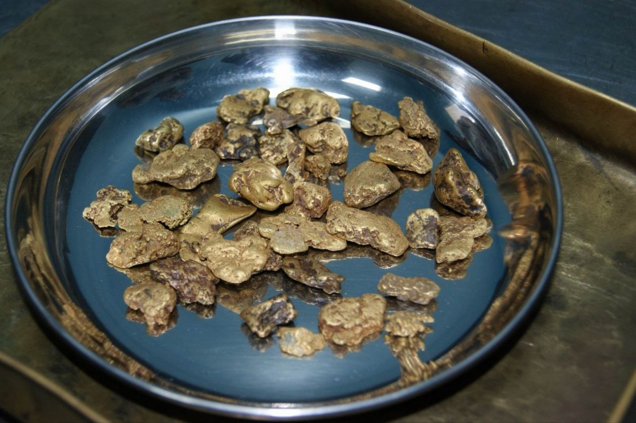 Золото Амурская бассейновая природоохранная прокуратура