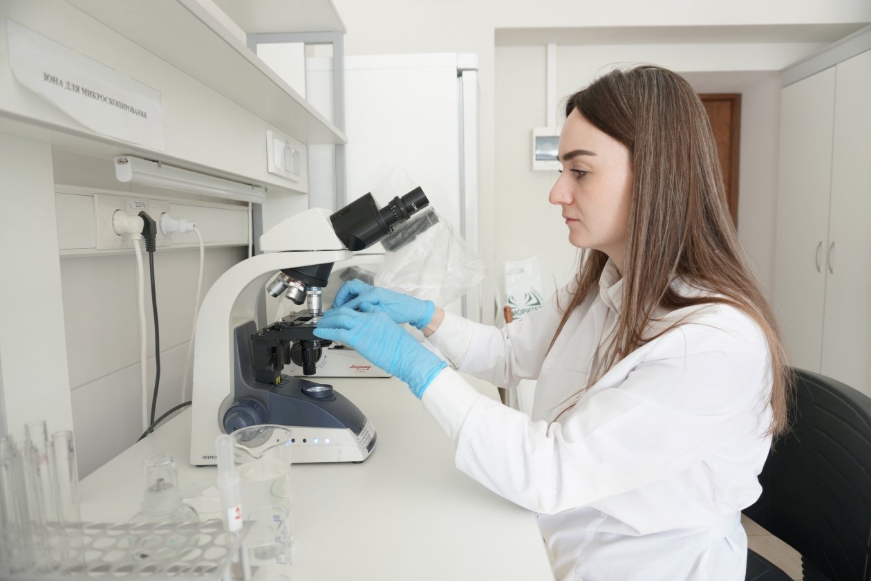 Опасные грибковые инфекции выявили в семенах яровых на Ставрополье пресс-служба ставропольского филиала Россельхозцентра