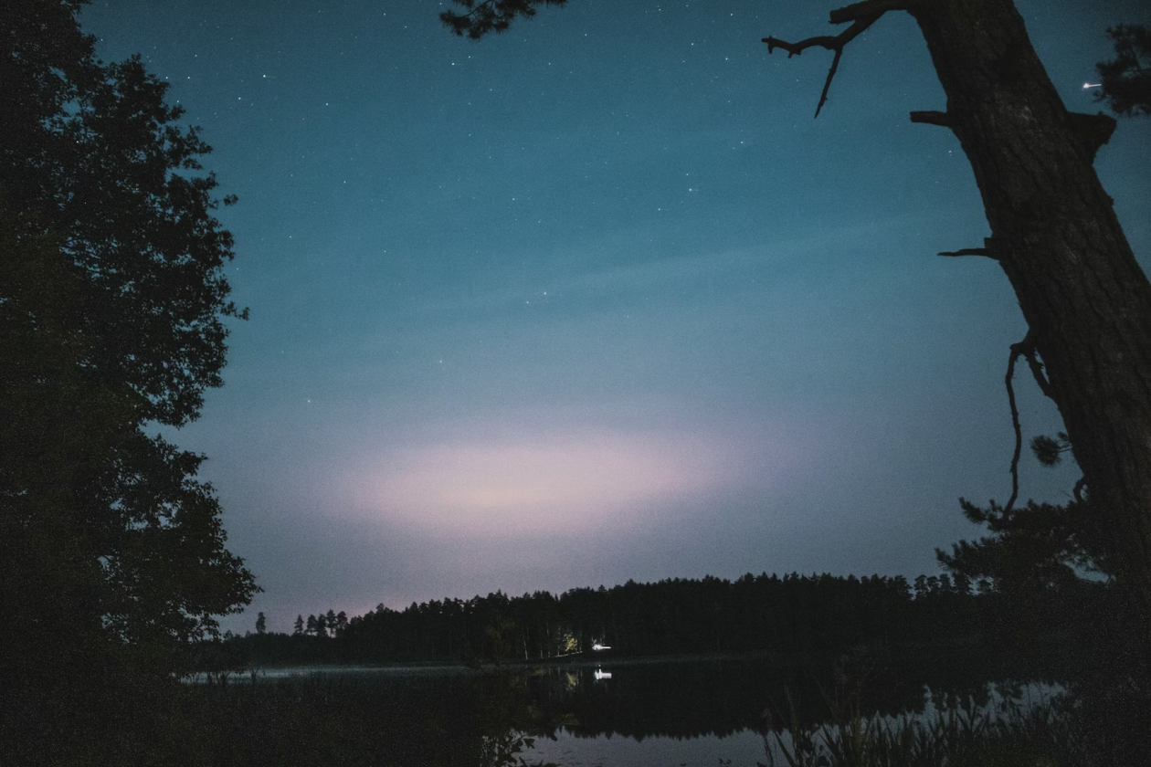 Тематическое фото unsplash.com