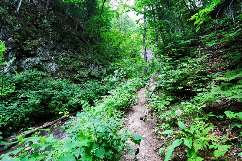 На благоустройство экопарка под Геленджиком направят 122 млн рублей Антон Балашов
