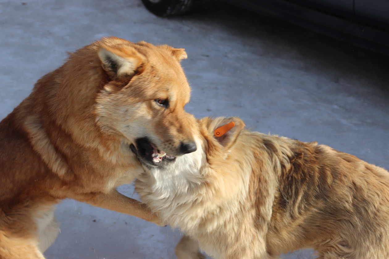 Тематическое фото ИА PrimaMedia