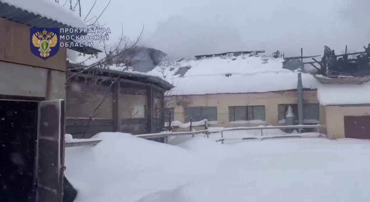 Тематическое фото Telegram-канал прокуратуры Подмосковья