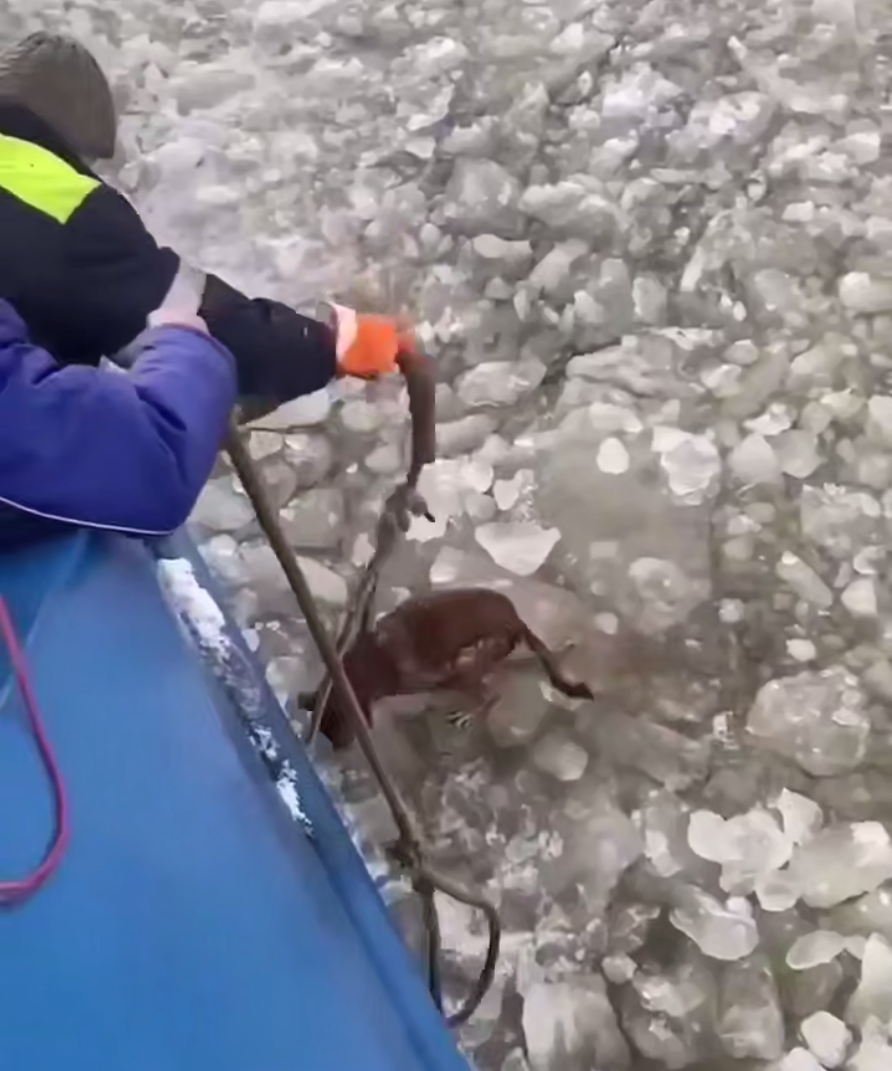 Tg-канал «svodka25» (18+)