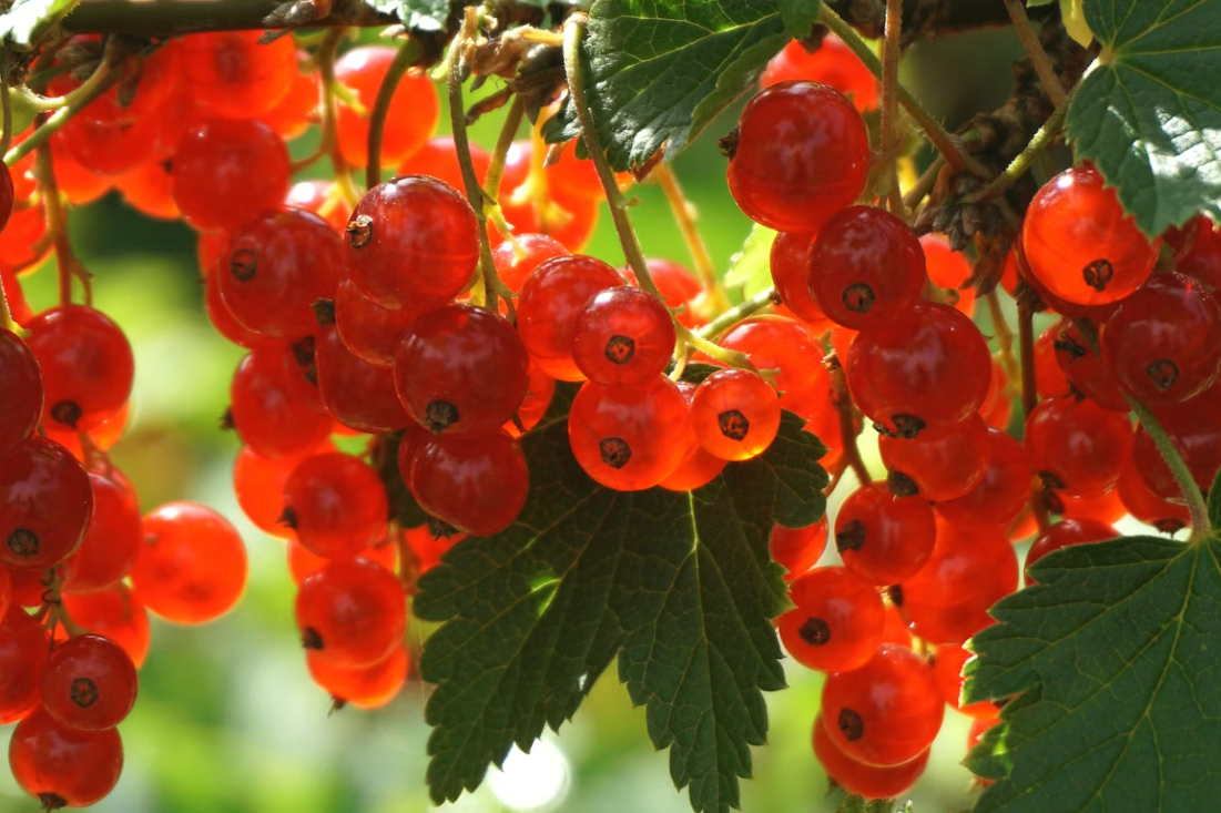 Тематическое фото unsplash.com