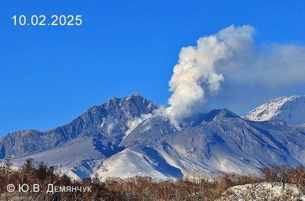 Архивное фото Шивелуча. Февраль 2025 года Ю. Демянчук  ИВиС ДВО РАН, KVERT