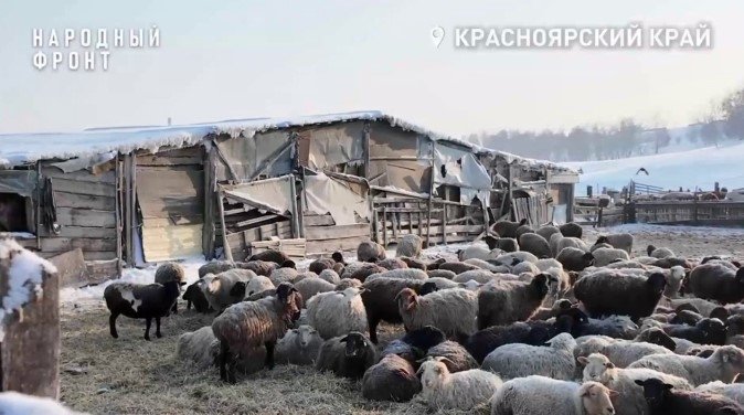 . Telegram-канал &quotНародный фронт | Красноярский край&quot