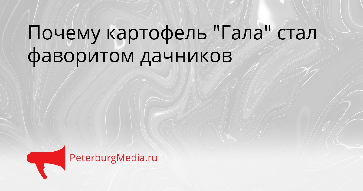 Почему картофель &quotГала&quot стал фаворитом дачников Сгенерировано