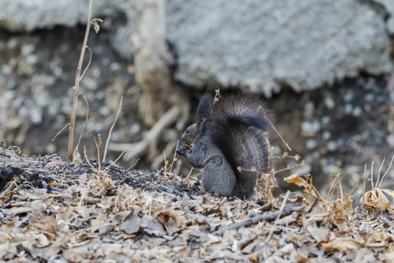Антициклон принес на Кубань рекордное потепление Александр Хитров