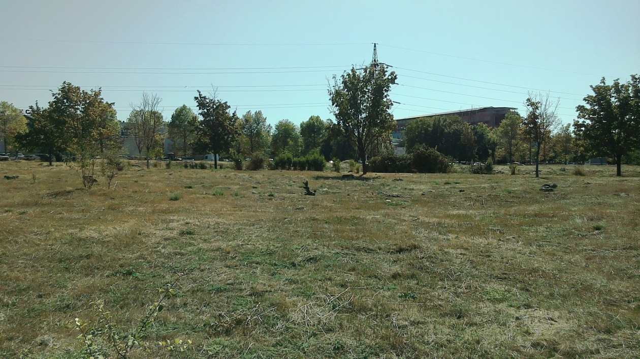 Семьи смогут использовать участки под ИЖС или развитие хозяйства Петр Максимов