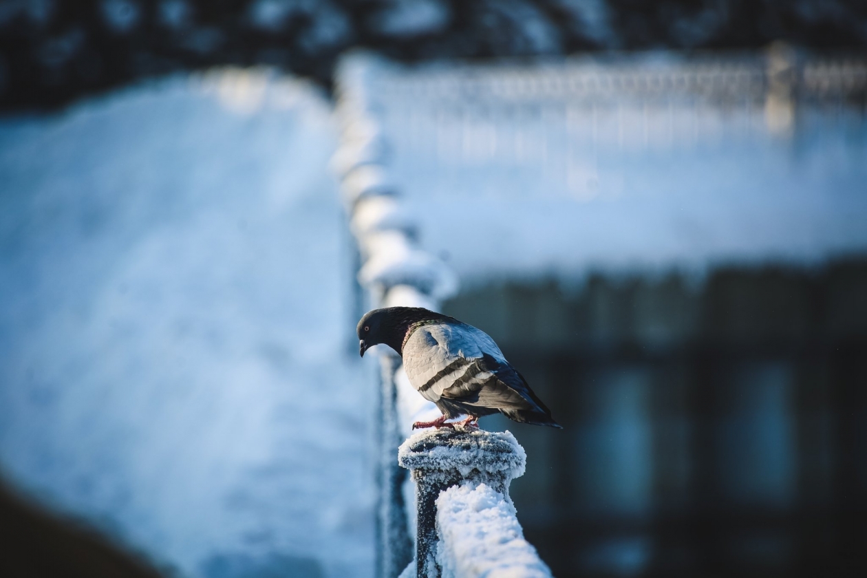 От -10 до -46°С ожидается в Иркутской области 30 января Юлия Ушакова, ИА IrkutskMedia