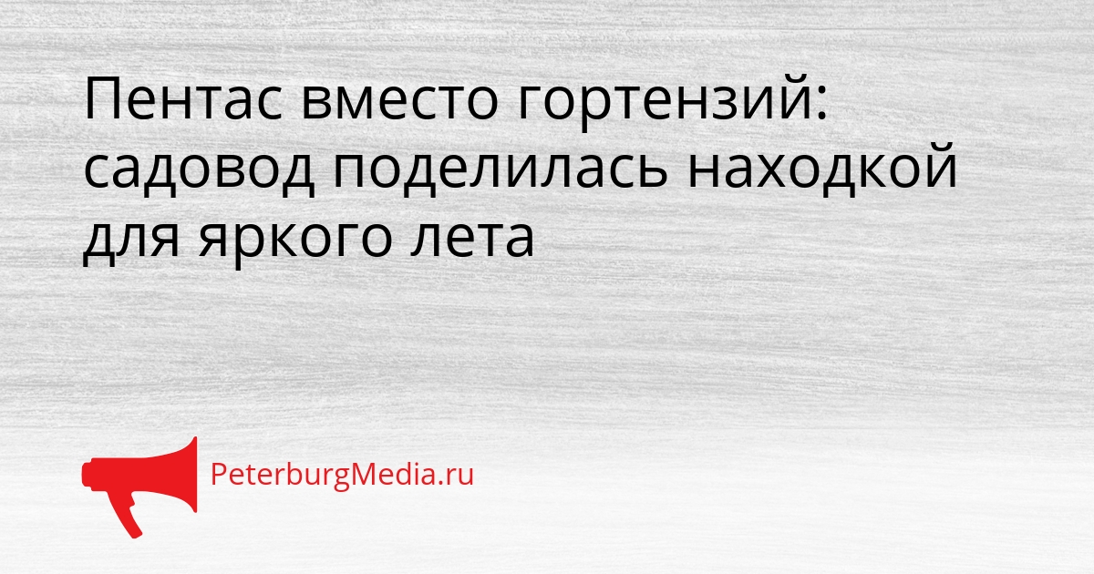 Пентас вместо гортензий: садовод поделилась находкой для яркого лета Сгенерировано