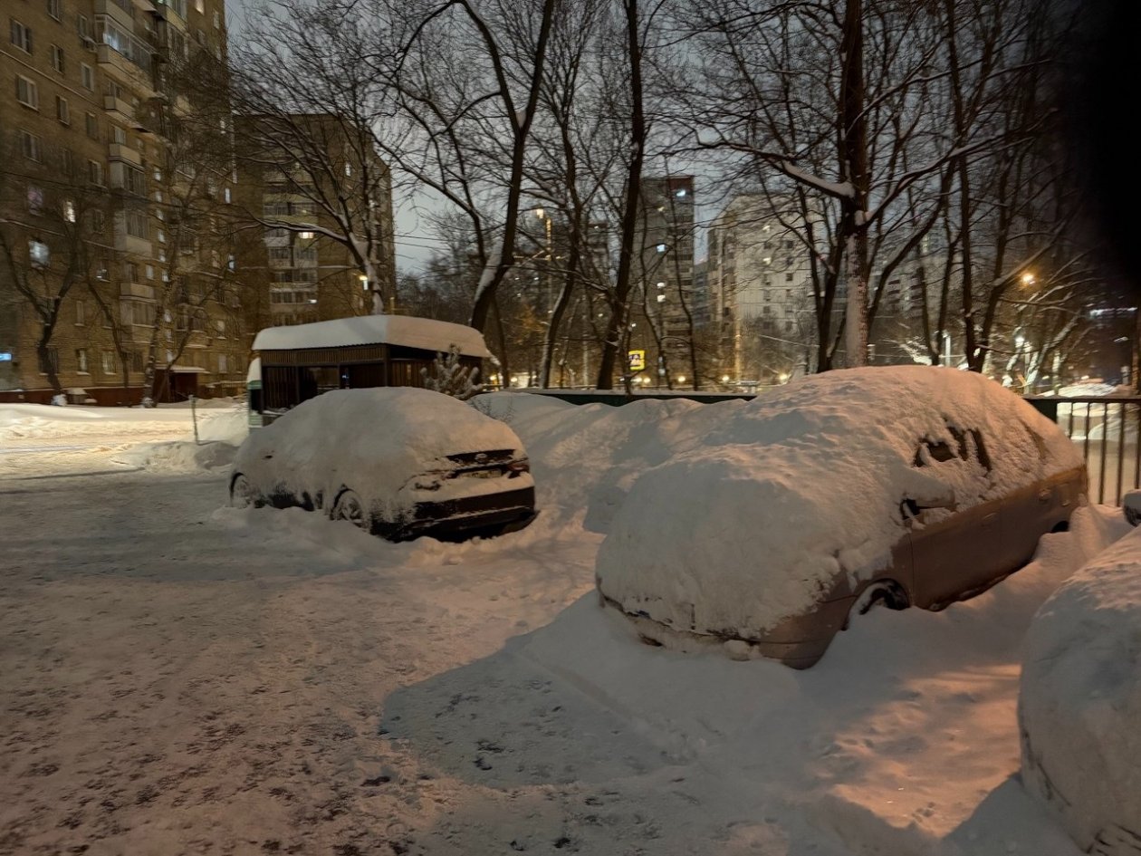 Снегопад ИА StolicaMedia