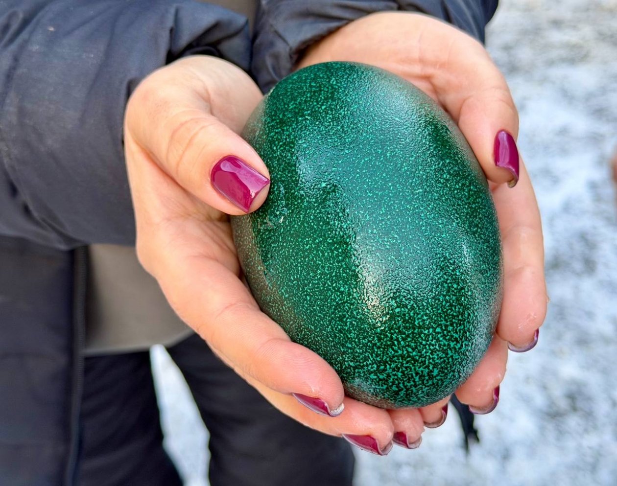 Эму выводят потомство в Симферополе МБУК &quotПарки столицы&quot