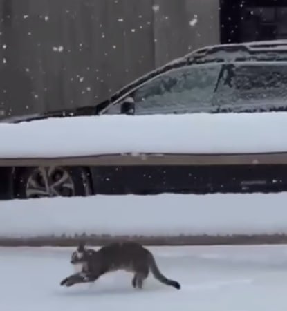 Сугробы в Москве Телеграм-канал &quotМосква с огоньком&quot